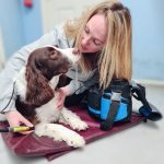 Dog Laser Therapy Goole